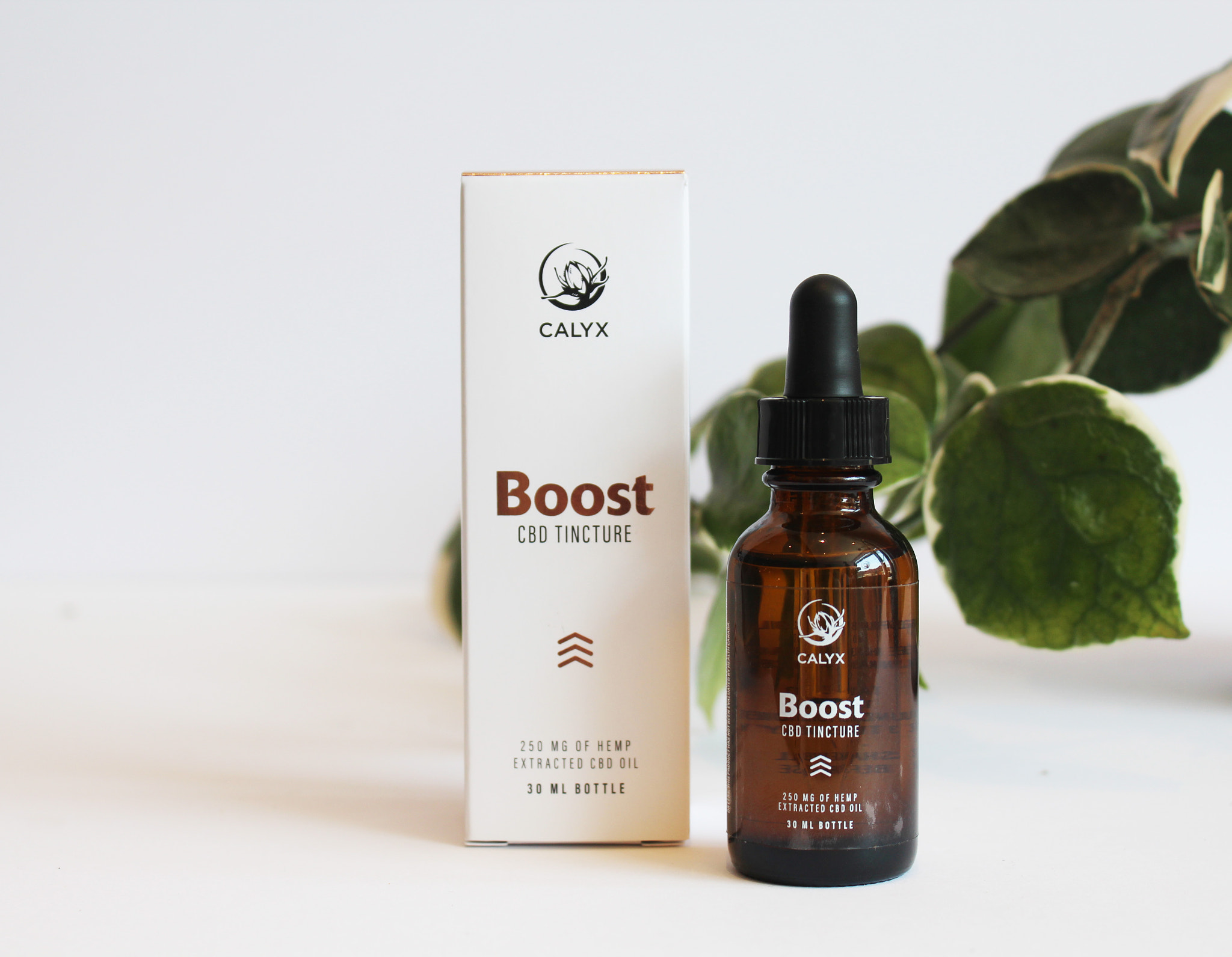 v2?sig=3fe6a77931a9ddbc7ea1240203c9c538fc94d867a27106951114d326cc007d65