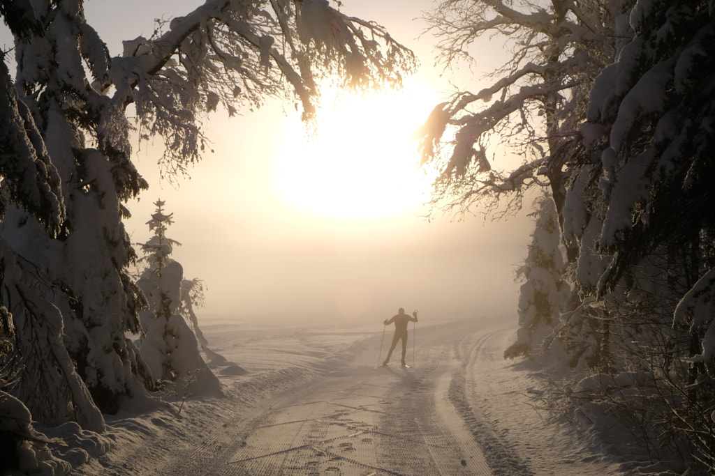 Winter wonderland by Johann Ennemoser on 500px.com
