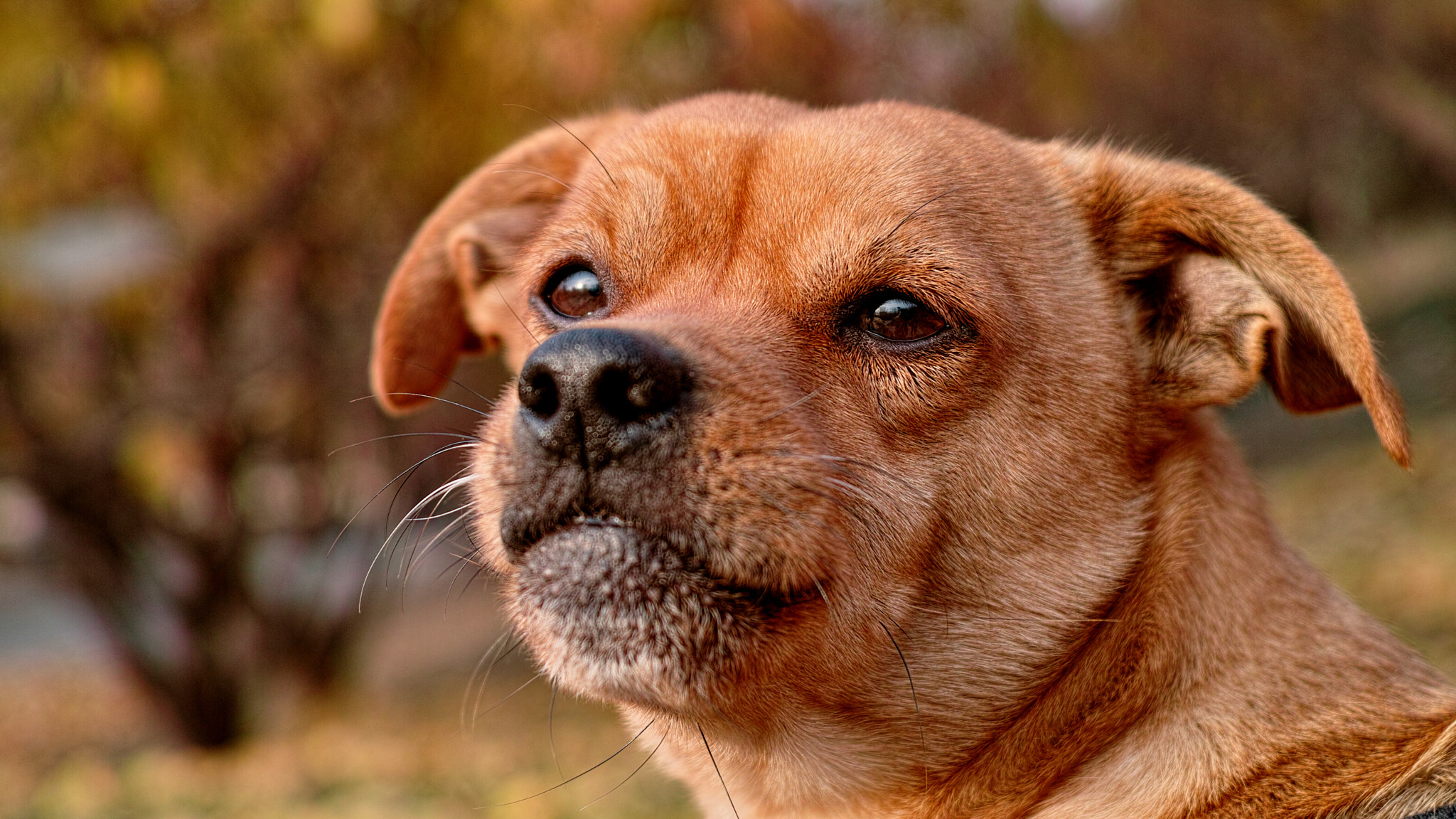 v2?sig=48078fb777f62da1ac1e34f000bc37529abff714ec101993e2777b9cf4836c24