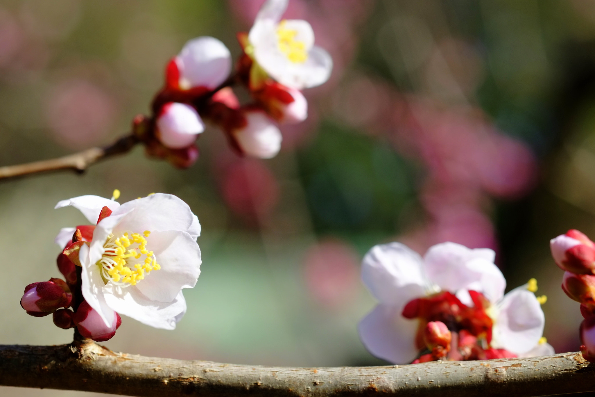 v2?sig=86fc9a7fd3a738ebabf8e96c91f7d1ffe39971d4faeb319f523d84a6780285d1