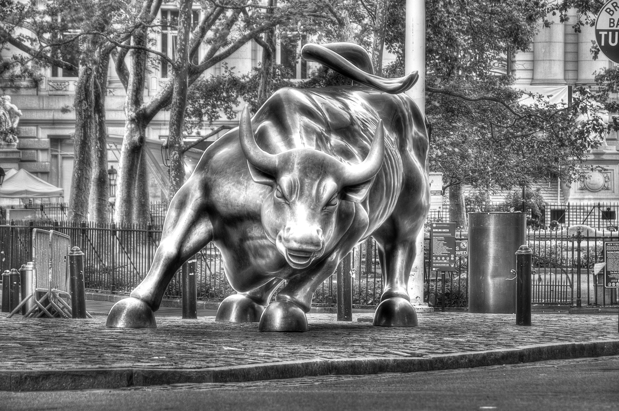 EL TORO DE WALL STREET by FERNANDO ZULETA / 500px