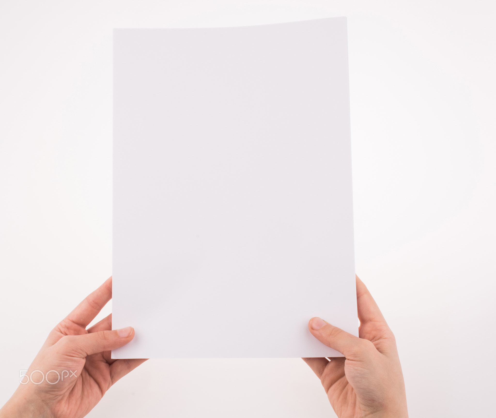 Hand holding a white blank sheet of paper