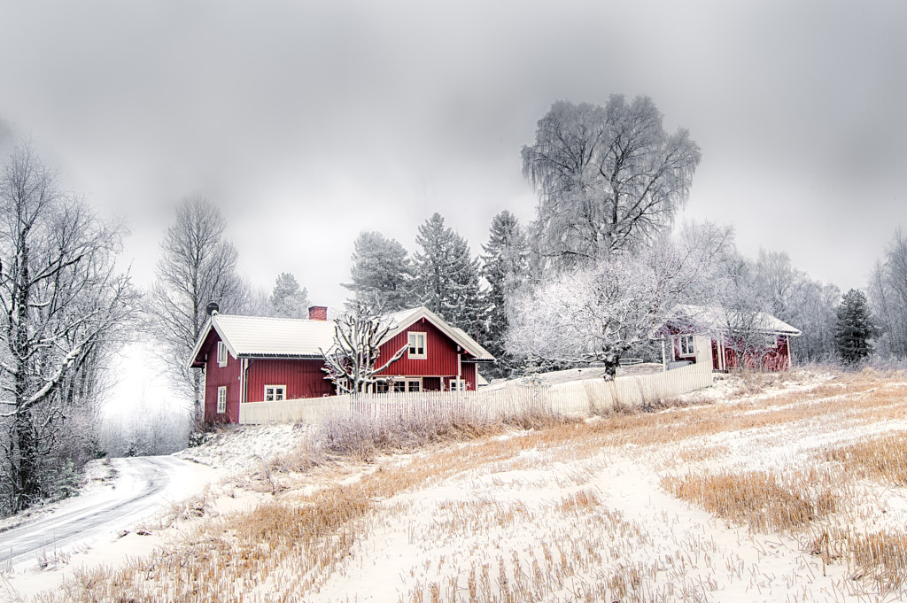 Cold mist by Jørn Allan Pedersen on 500px.com