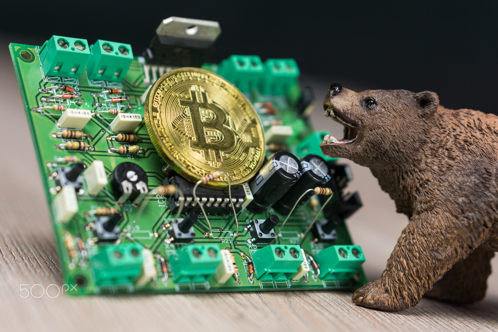 Photo of Bitcoin or Bitcoin cash on electronic circuit, computer part and bear next to it