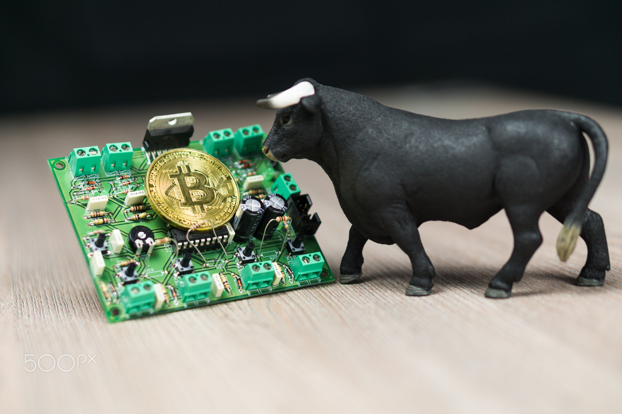 Photo of Bitcoin or Bitcoin cash on electronic circuit, computer part and bull next to it