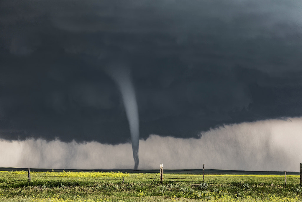Beautiful Danger by Roger Hill on 500px.com