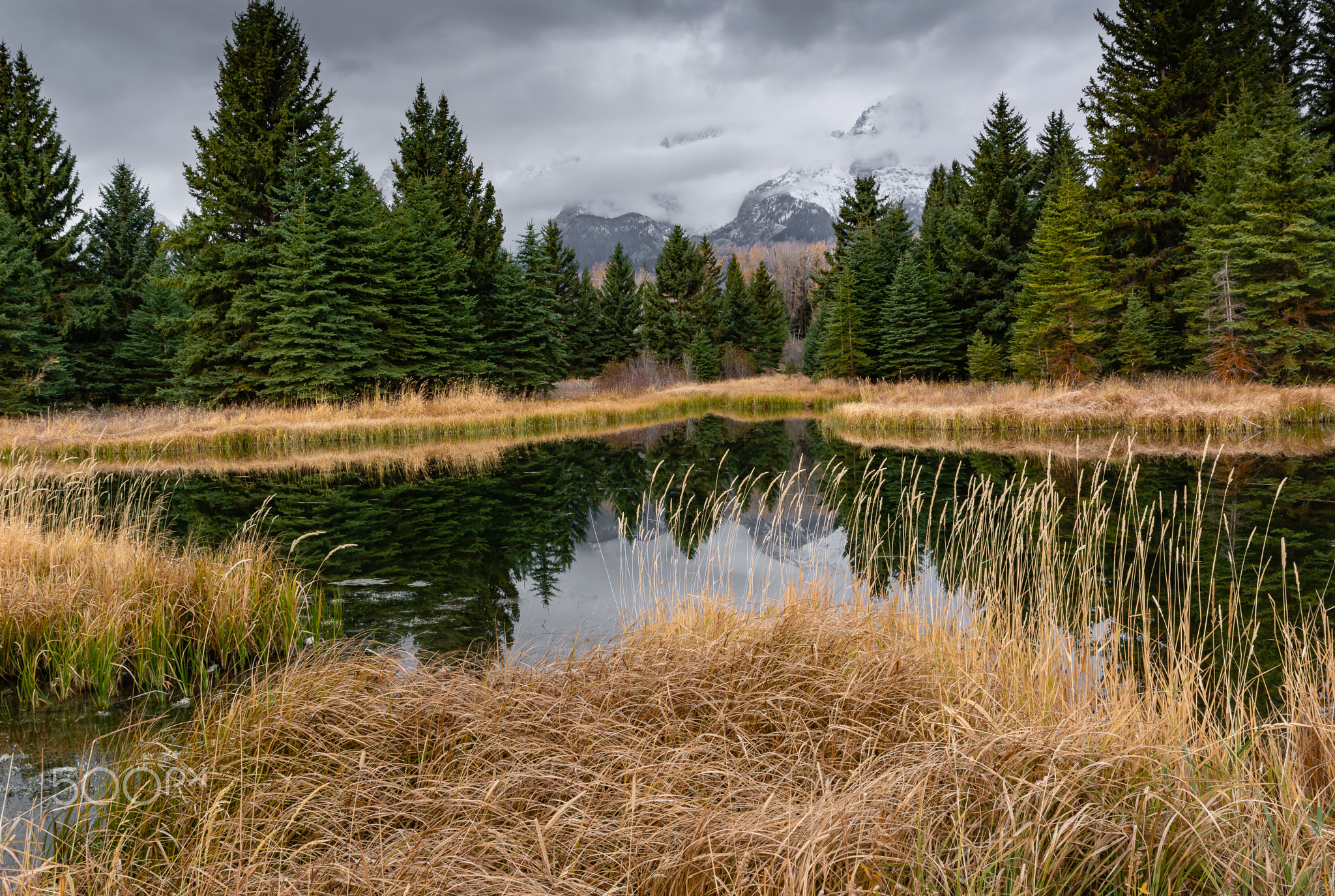 Landscape Grand Teton National Park