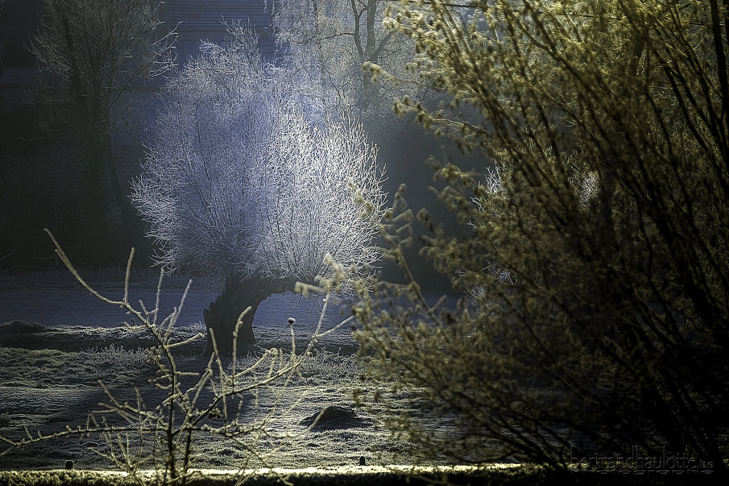 So cold by Bertrand Haulotte on 500px.com