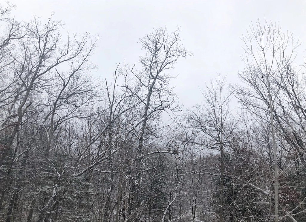 Untitled by Jacqueline and Kevin Reape on 500px.com