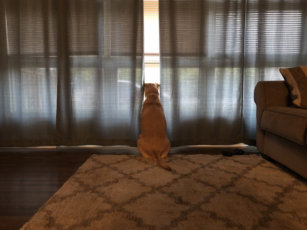 Untitled by Jacqueline and Kevin Reape on 500px.com