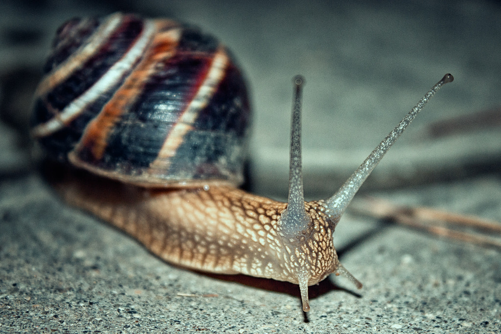 Slide by Andrew Vasiliev on 500px.com