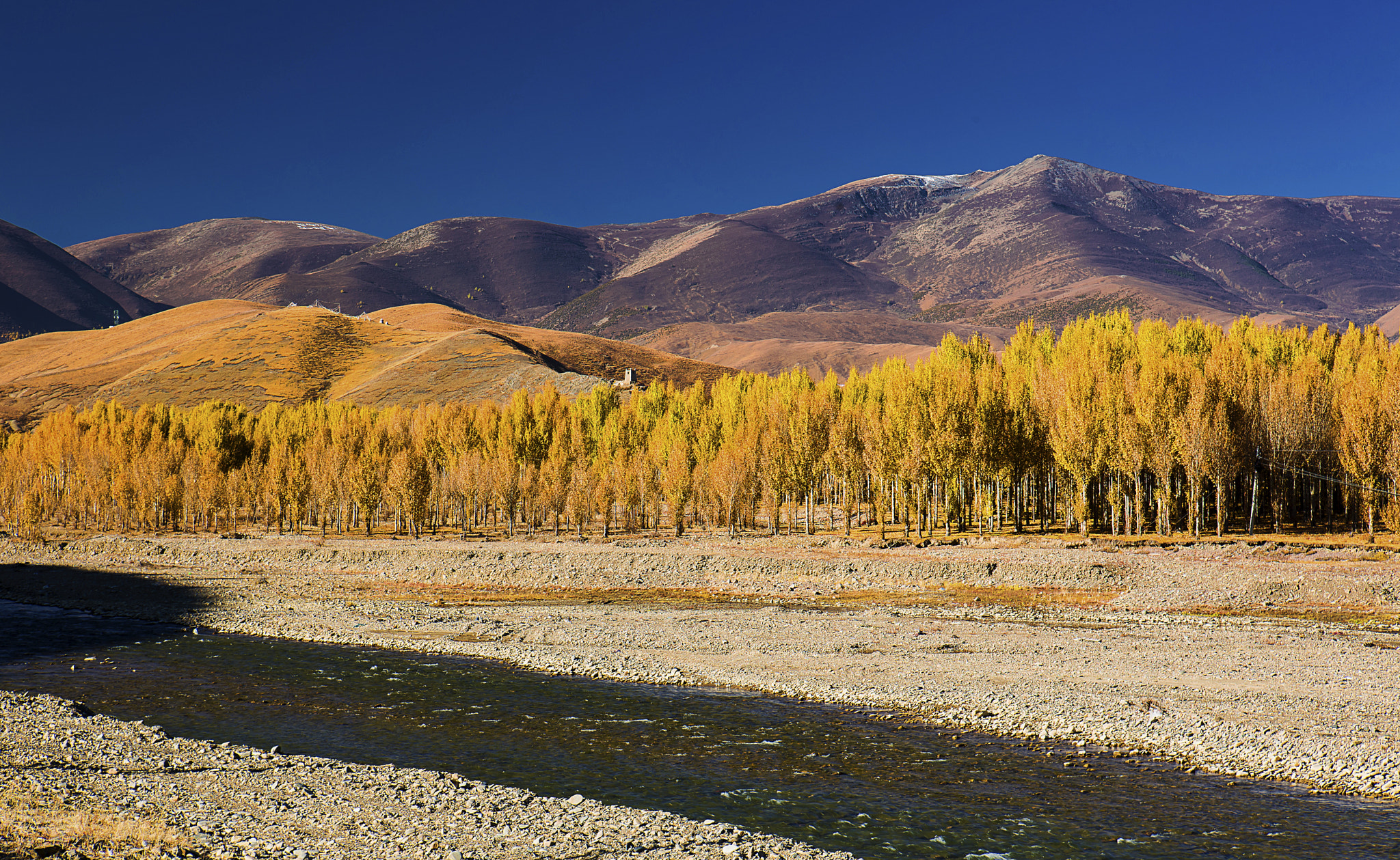 Dapda(Daocheng), Fall Colors, Garze-Tibet,