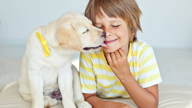 Protecting your children from dog bite accidents