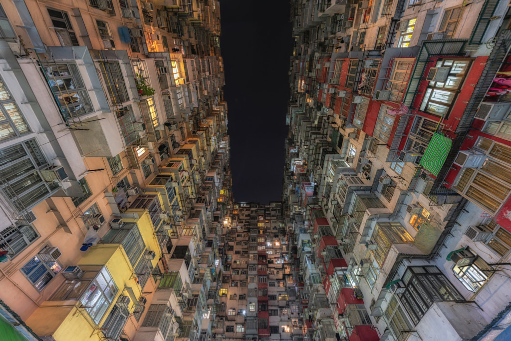Densely Populated by Dietrich Herlan on 500px.com