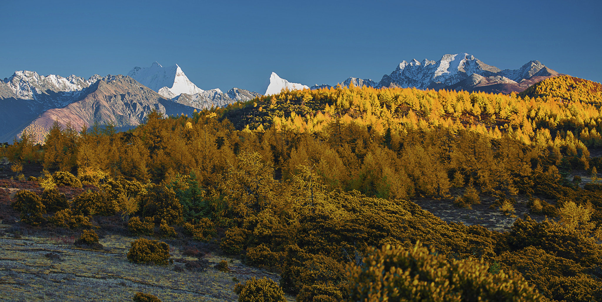 Shangri-La, Daocheng （Dapda), E-Chu Mountain