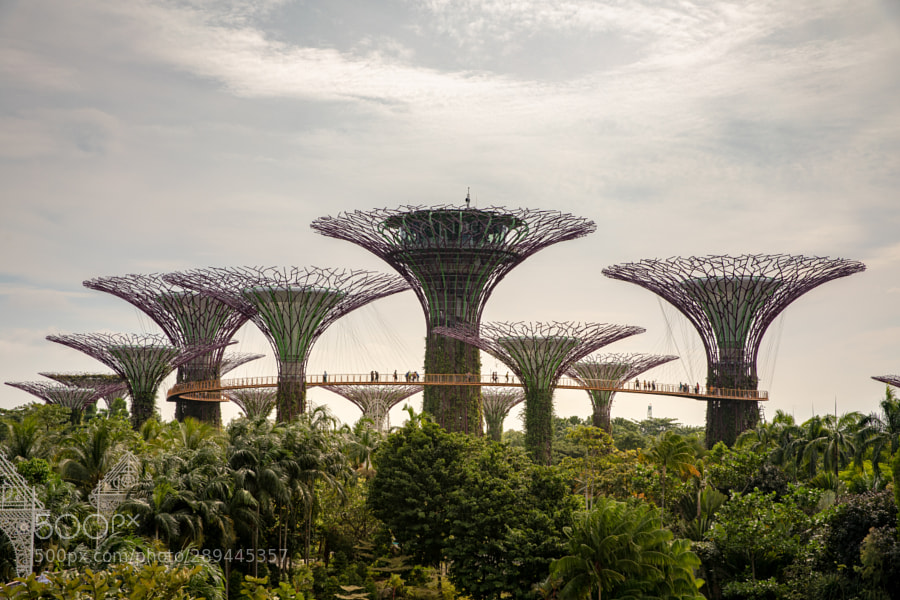 Lillian Tveit Lilliantveit Photos 500px