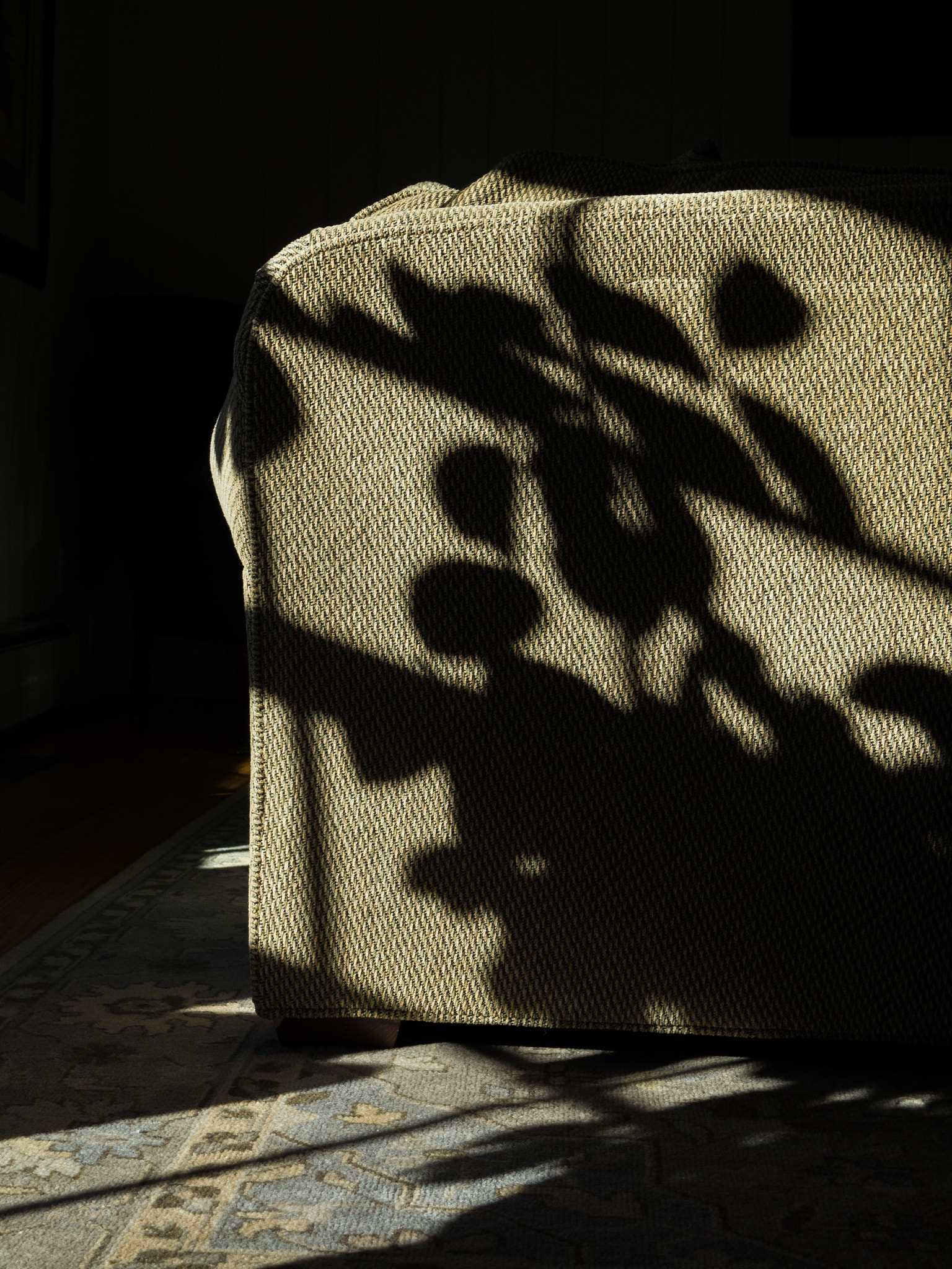 Lemon tree shadow on a couch