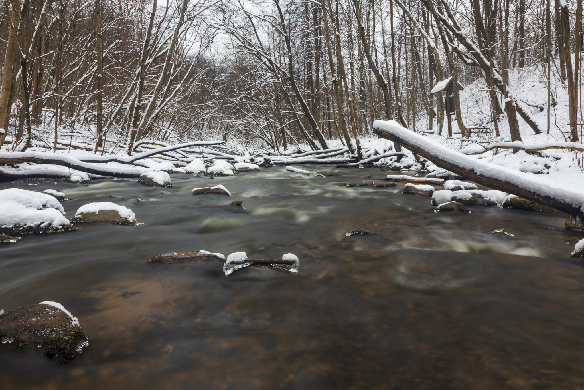 Winter river