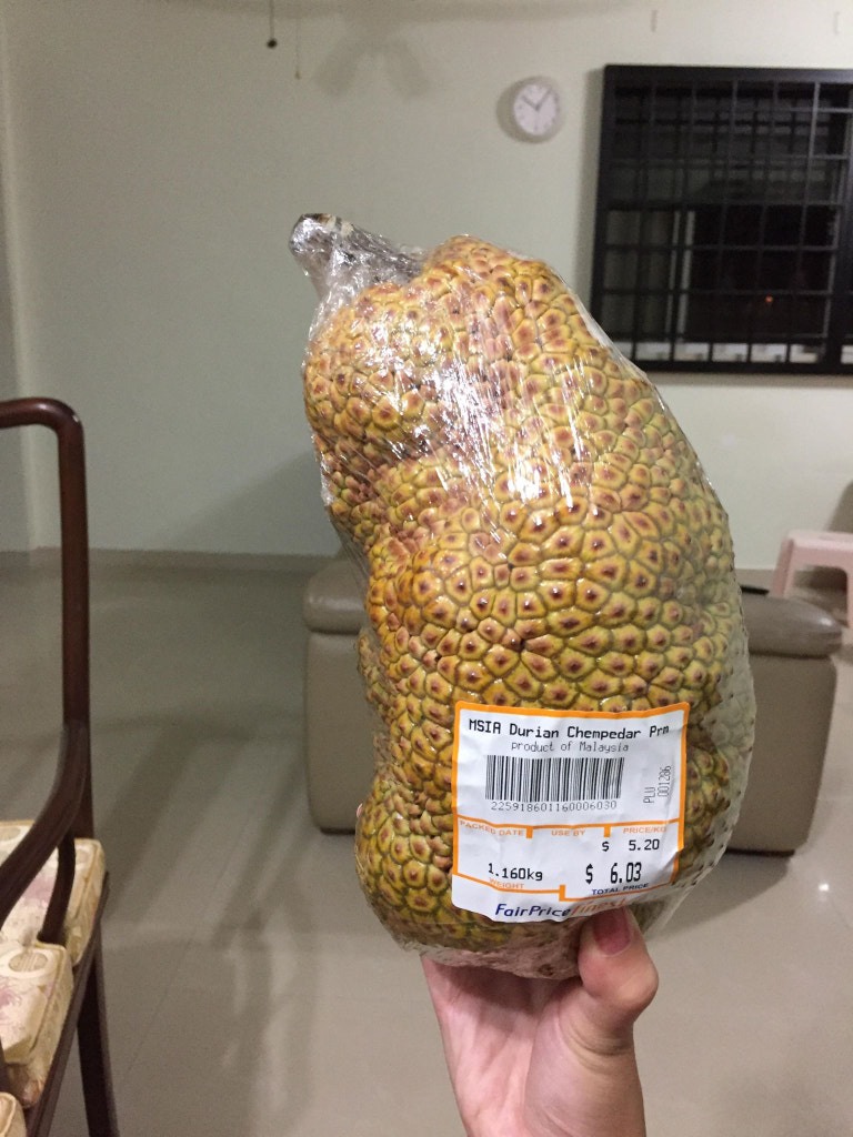 05.jpg by ukijojo on 500px.com