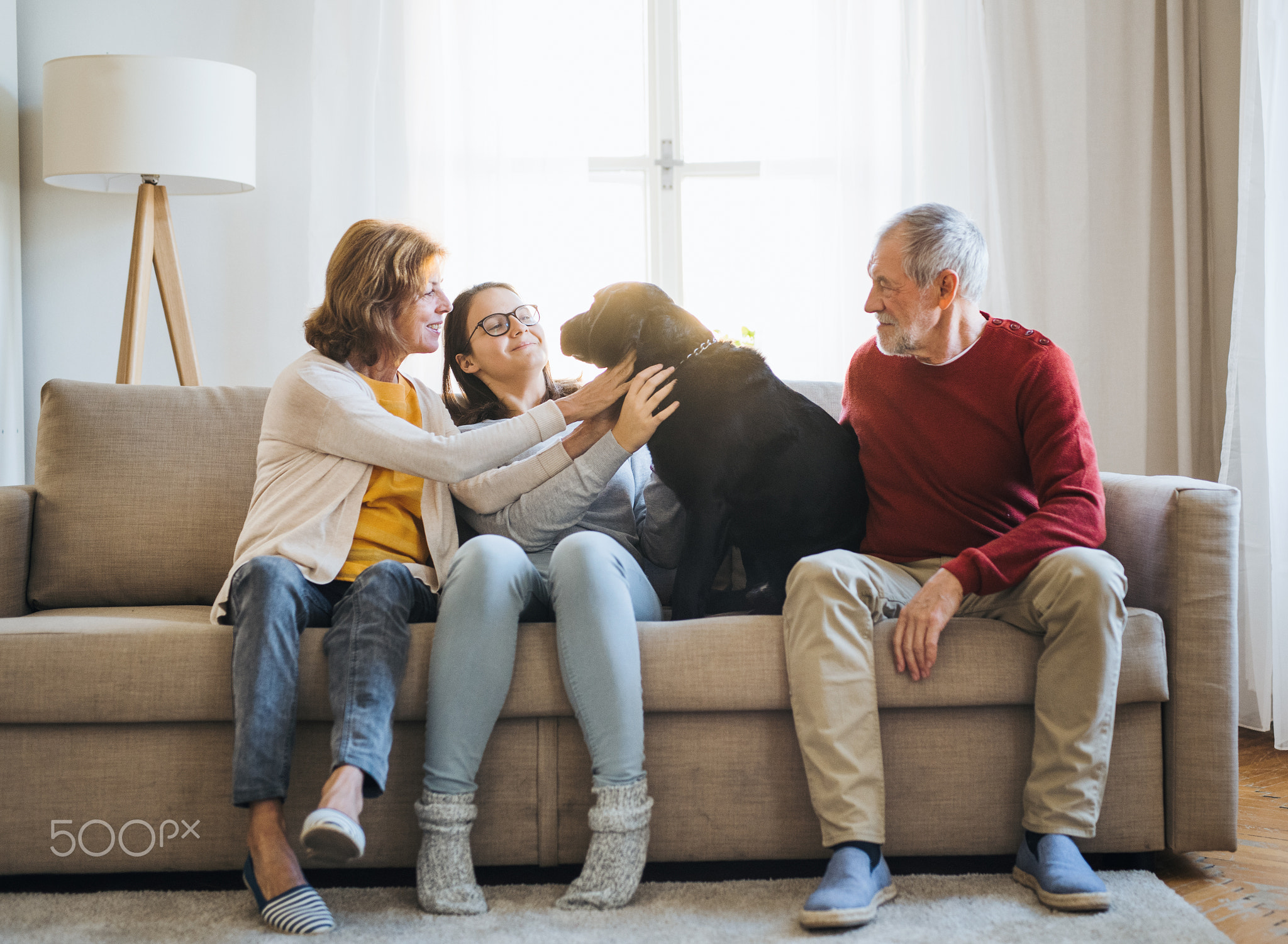 A senior couple with a teenage girl sitting on a sofa with dog at home.