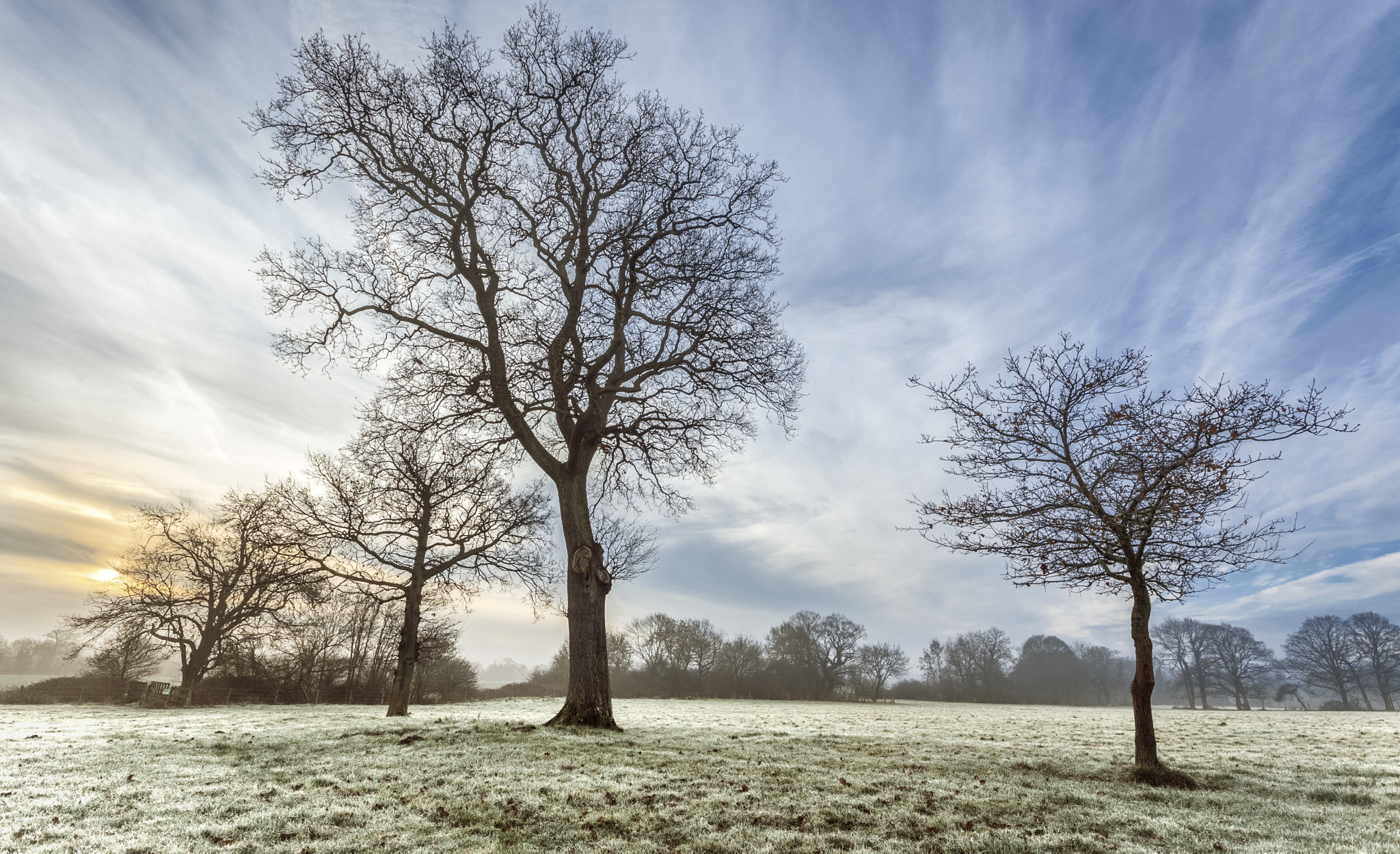 IMAGE: https://drscdn.500px.org/photo/289829167/q%3D80_m%3D1500/v2?webp=true&sig=d6b7458601a1d49f5fc5ac7086e1ef1faf9563c8d39fd1824e9e38ae18bc248b