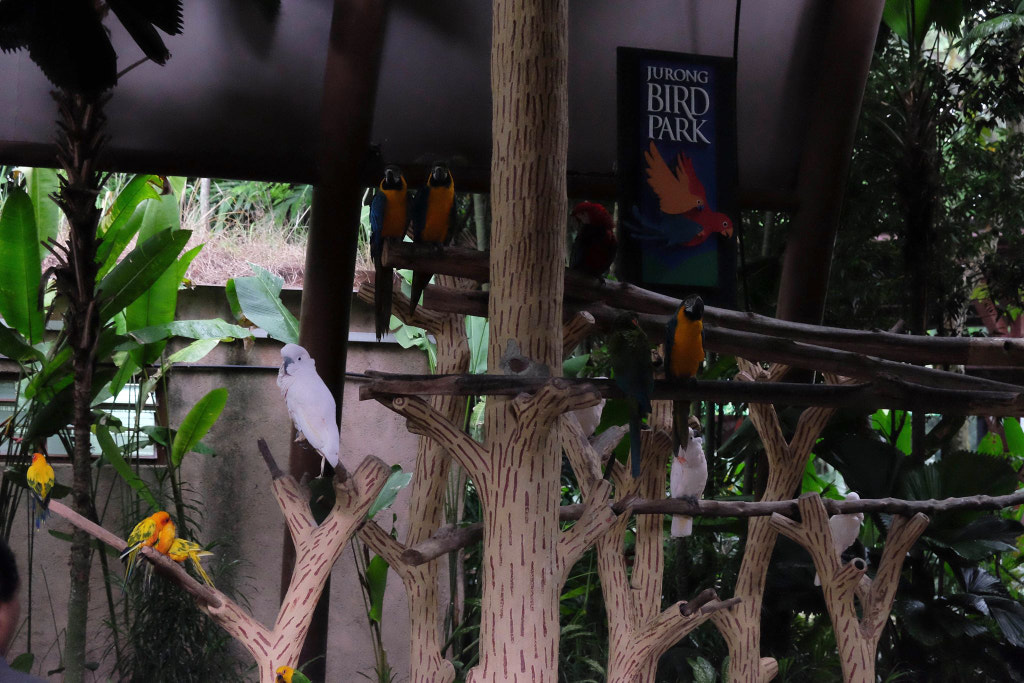 08.jpg by info9813 on 500px.com