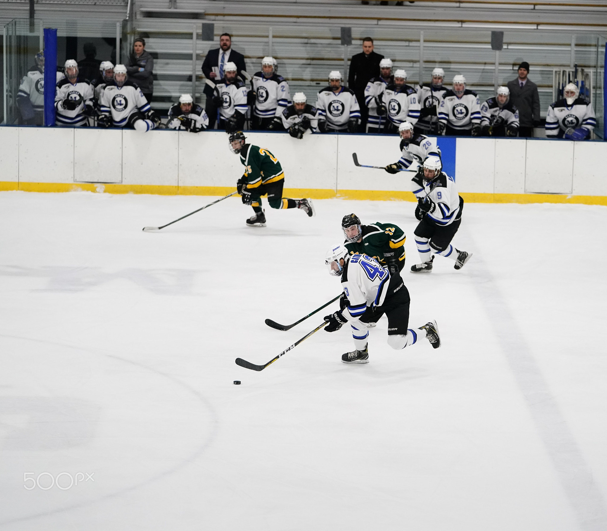 Marian Sabres vs Green Knights