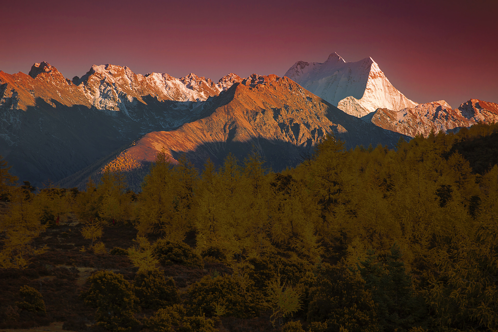 Shangri-La, Daocheng （Dapda), E-Chu Mountain, Fall