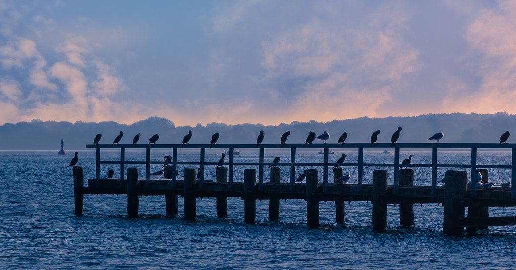 Waiting for the evening by Meriuţă Cornel | 500px.com