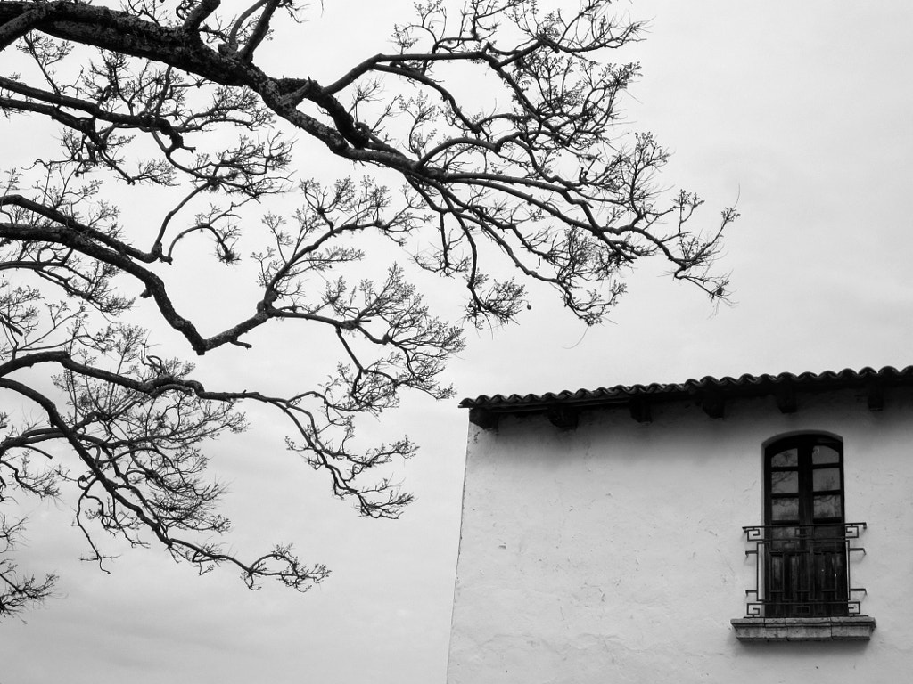 Balconet by Juana Martínez-Martínez on 500px.com