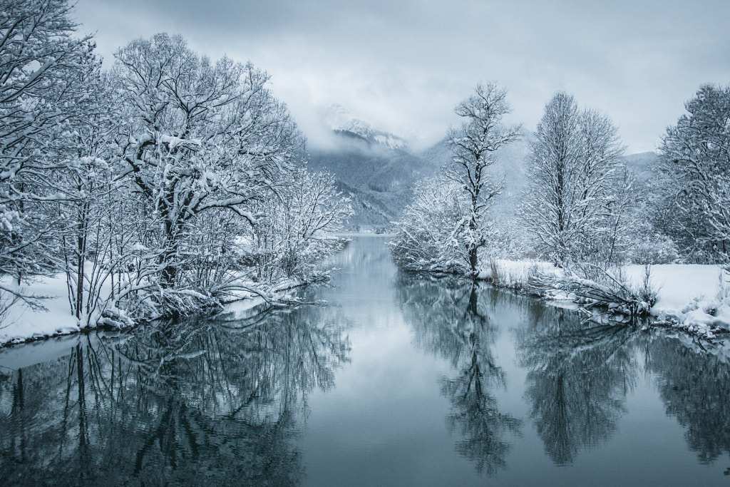 Frosty mornings by Viktoria Pezzei on 500px.com