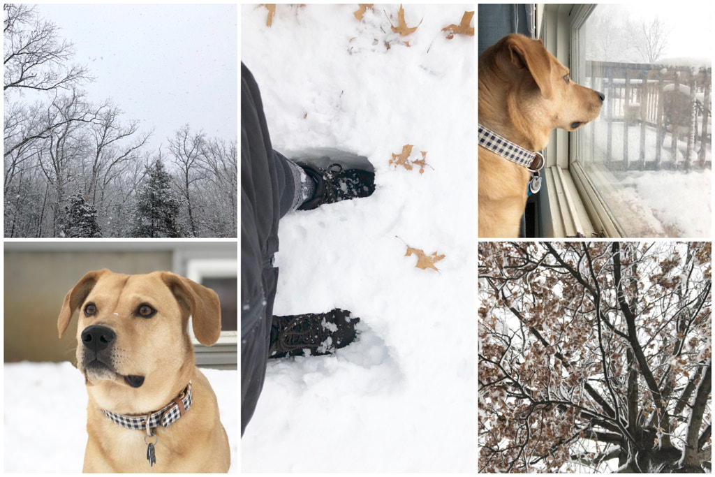 Untitled by Jacqueline and Kevin Reape on 500px.com