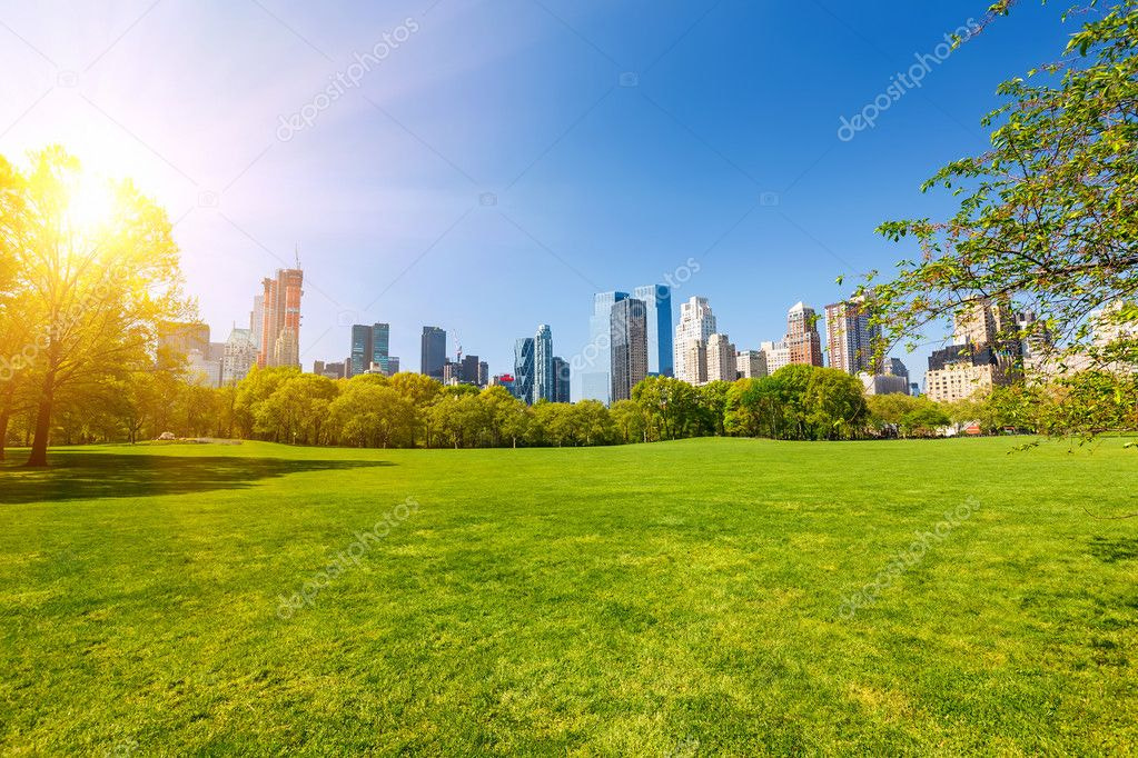 depositphotos stock photo central park at sunny day
