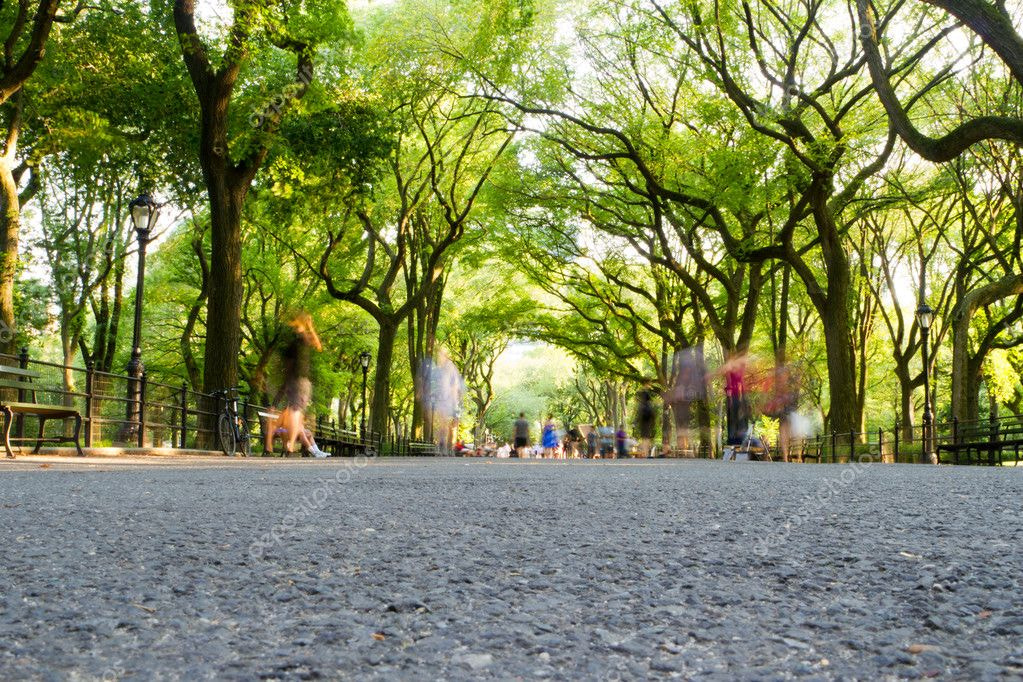 depositphotos stock photo the mall central park new