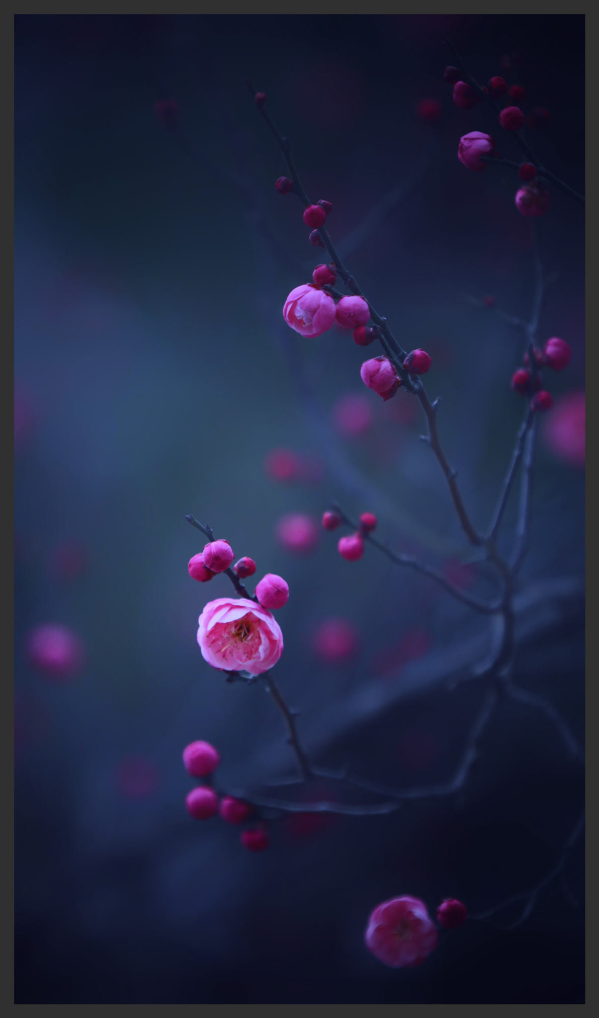 梦幻