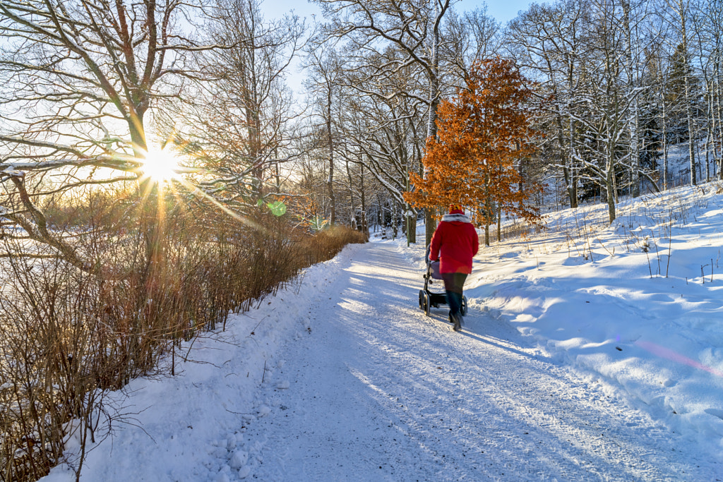 Sunny winter day by Markus Kauppinen on 500px.com