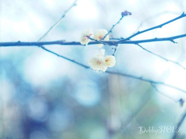 Debby Debby Profile 500px