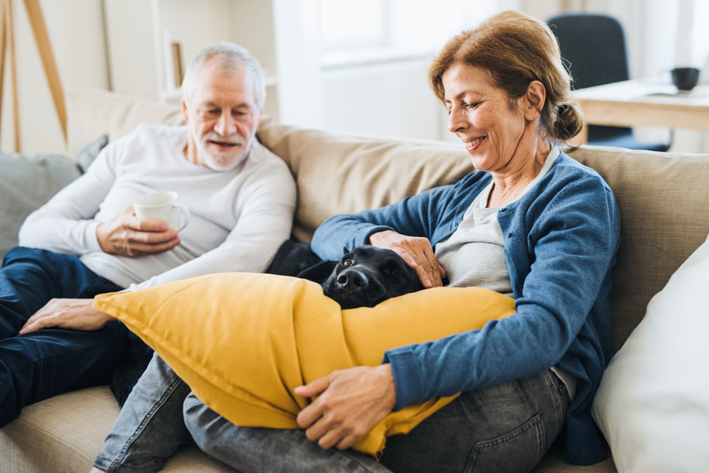 A happy senior couple sitting on a sofa indoors with a pet dog at home. by Jozef Polc on 500px.com