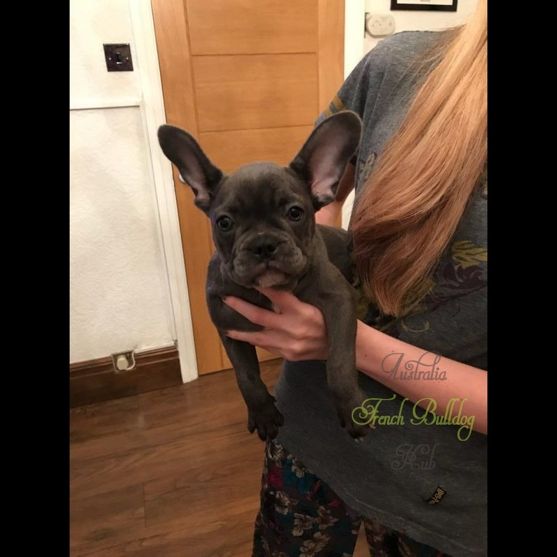 v2?sig=89206ea73ee166d98f112b387da2dc1f25b7202cdb02bda30998376448623c2d