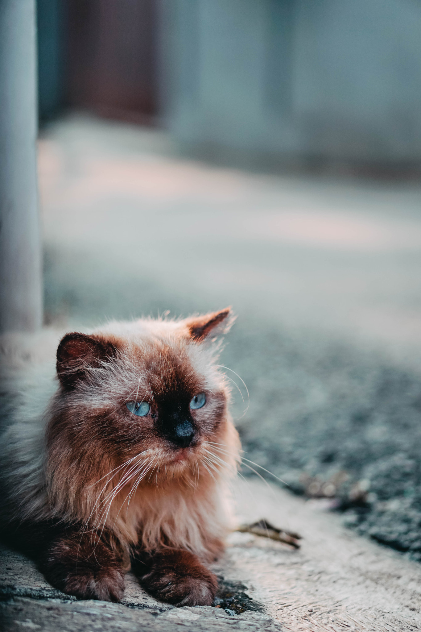 Alone