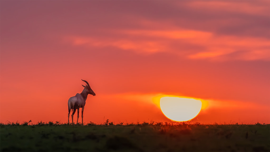 ?????? by yexy??  on 500px.com