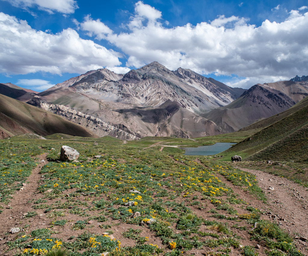 Breathtaking Argentina by Matt MacDonald on 500px.com