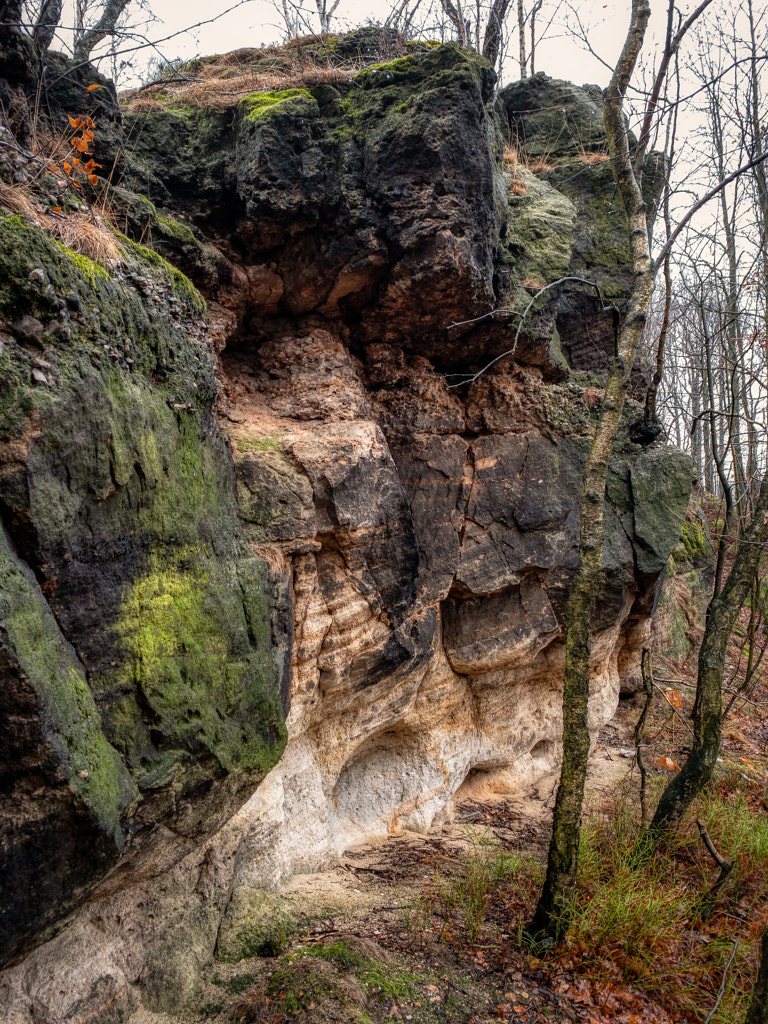 goetzenbusch by dirk derbaum on 500px.com