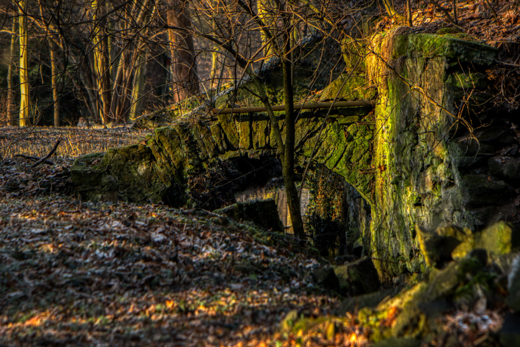 arche by dirk derbaum on 500px.com