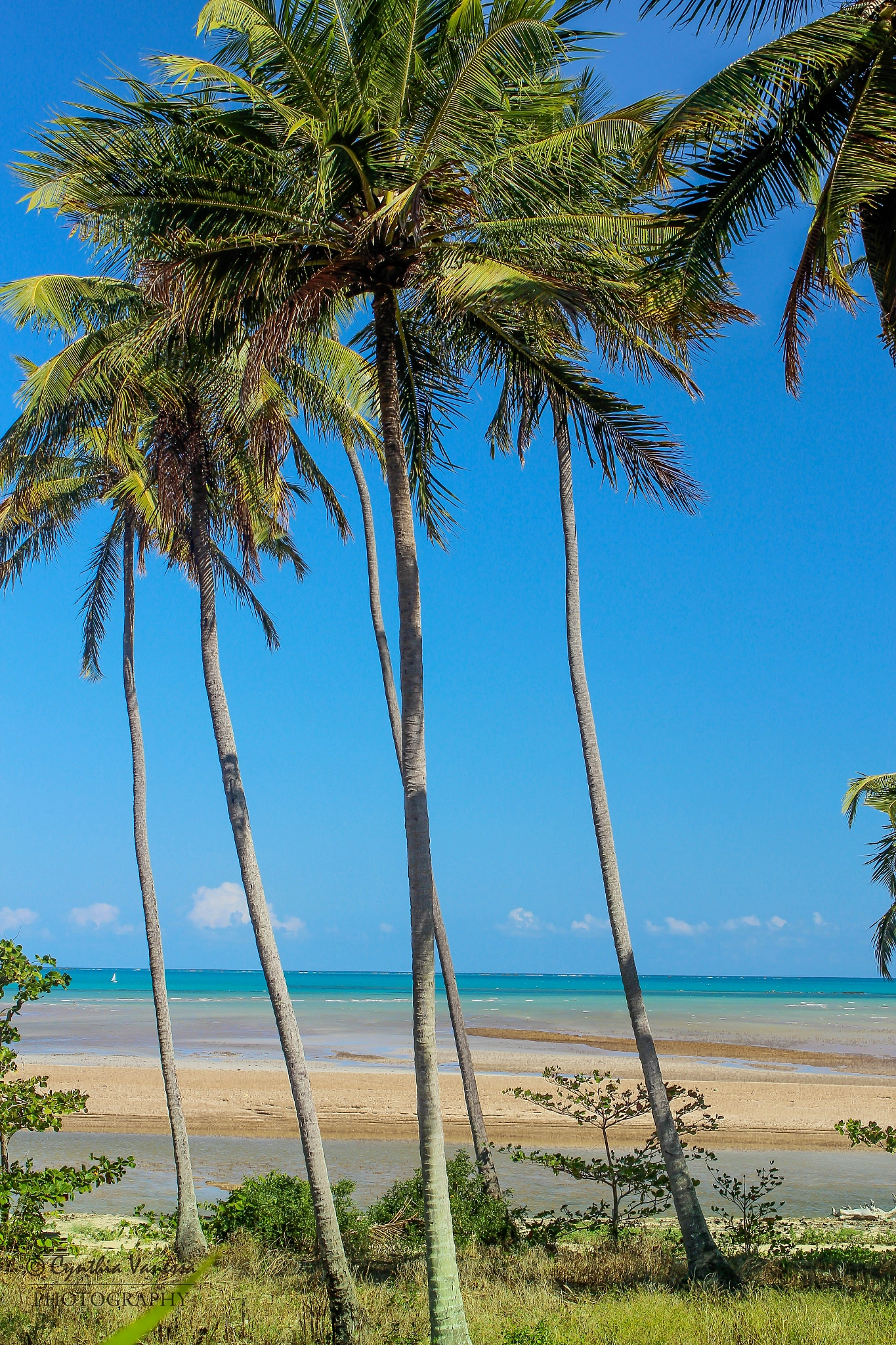 Maceió Beach