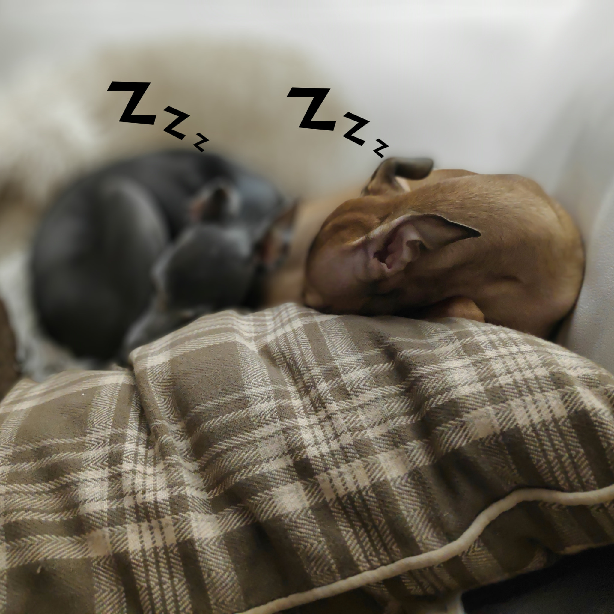 v2?sig=122a4fb9363dd9a1e4a84f3314bda4b19ad372ddd2f93b8ddd5ec64b6b646cea