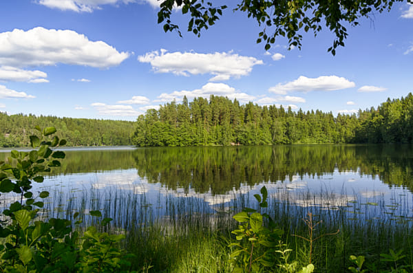 Aulanko, Finland by Markus Kauppinen on 500px.com