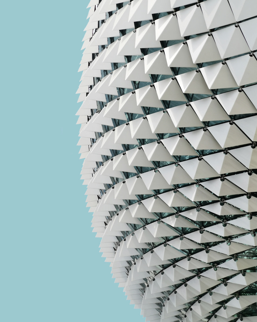 REPTILE by JULIA  on 500px.com