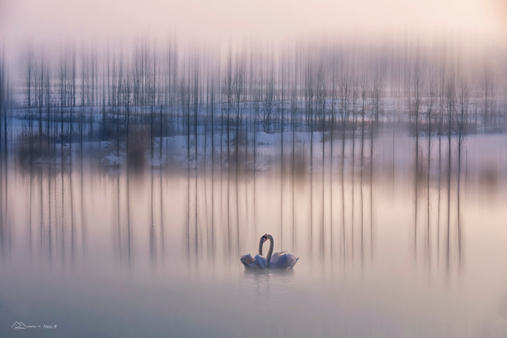 ?????Interdependent love? by Nini—?  on 500px.com