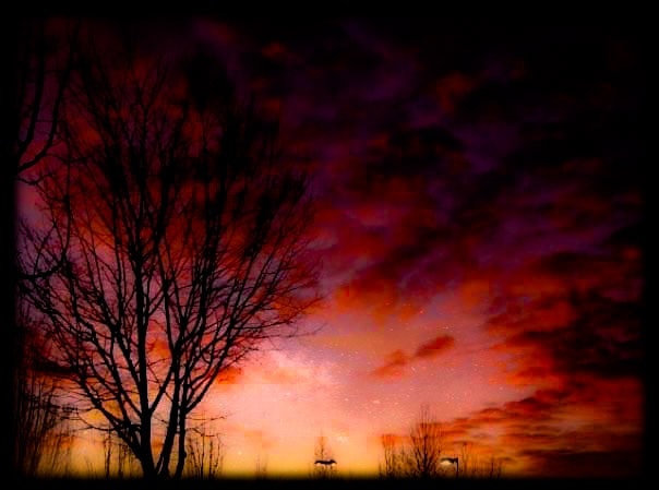The Red Sunset